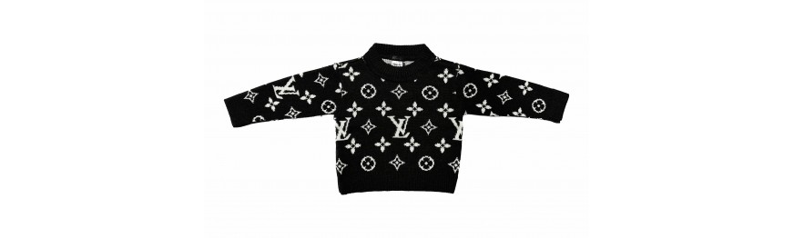 copy of Boys' dino sweater - 1